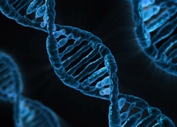 Normal_dna__genetica__identiteit