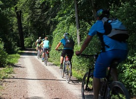 Normal_bewegen__fietsen__natuur__sport__mountainbike