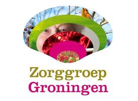 Logo_logo_zorggroep_groningen